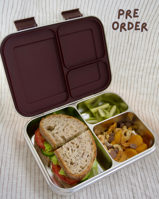 Sol Lunch Box (Pre-Order)