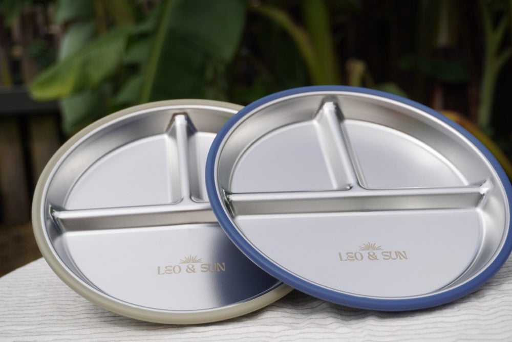 Stainless Steel Divided Plates