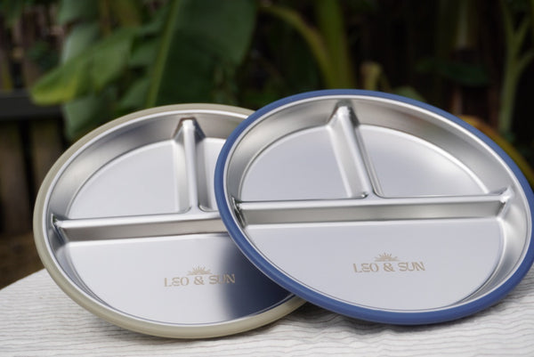 Stainless Steel Divided Plate