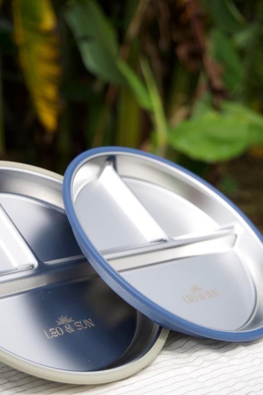 Leo & Sun stainless steel divided plate in sage green and ocean blue with silicone suction base

