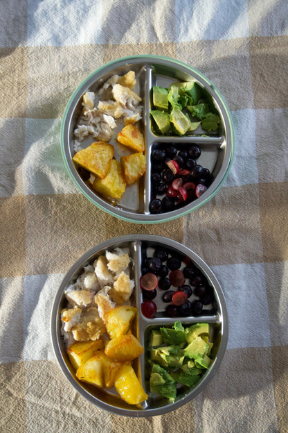 Stainless steel kids plates plastic-free non-toxic