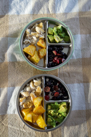 Stainless steel kids plates plastic-free non-toxic