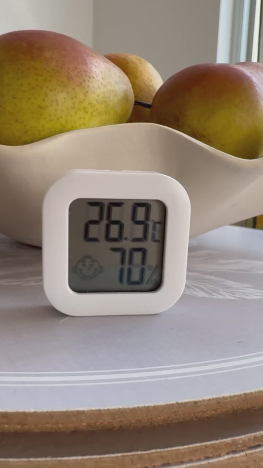 Humidity & Temperature Monitor